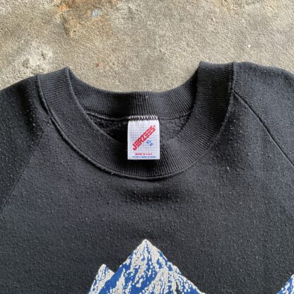 1990s Eagle Printed Nature Sweatshirt - Image 4